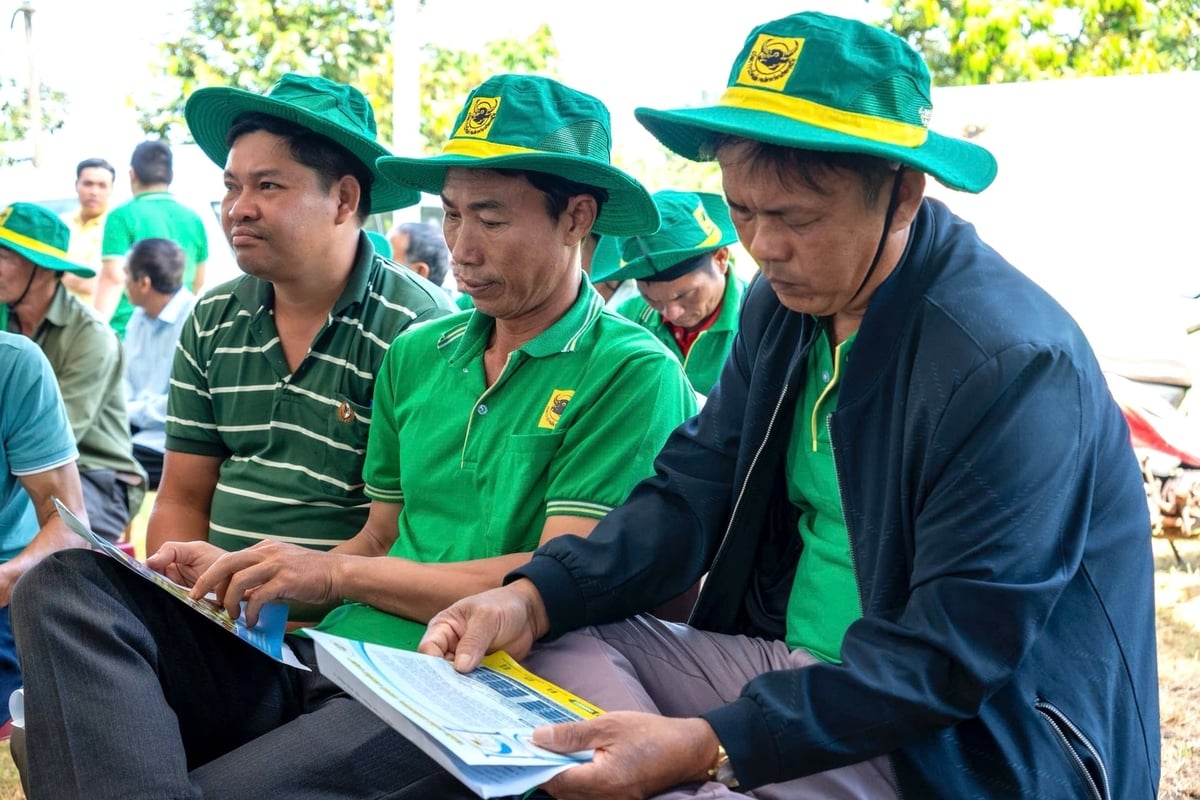 Místní obyvatelé jsou školeni v chytrých modelech pěstování kávy. Foto: Tuan Anh. Người dân được tập huấn mô hình canh tác cà phê thông minh. Ảnh: Tuấn Anh.