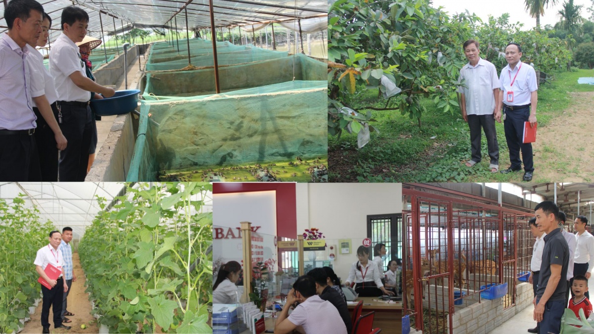 Vốn ngân hàng: Đòn bẩy phát triển kinh tế nông thôn