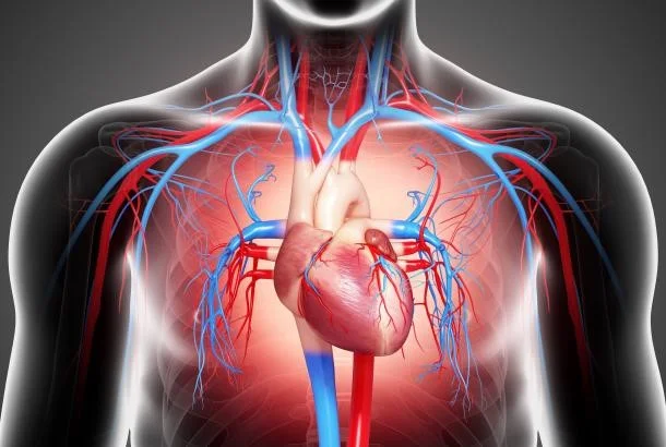 Mới phát hiện suy tim cần làm gì để phòng bệnh nặng lên? - Ảnh 1.