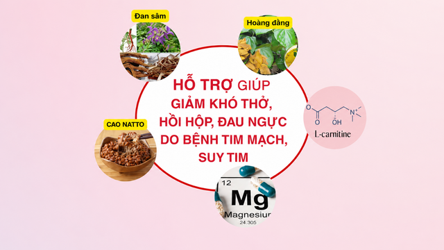 Mới phát hiện suy tim cần làm gì để phòng bệnh nặng lên? - Ảnh 4.