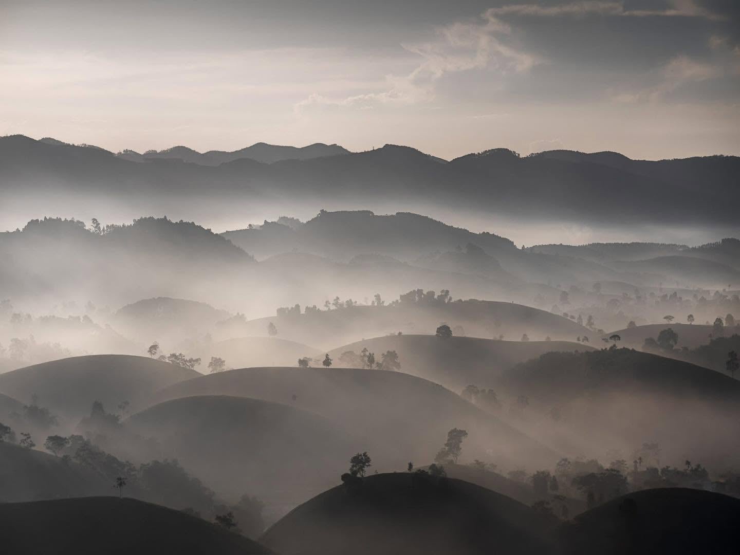 Gallery - Absolutely cinematic views on Long Coc Tea Hill. - image 1