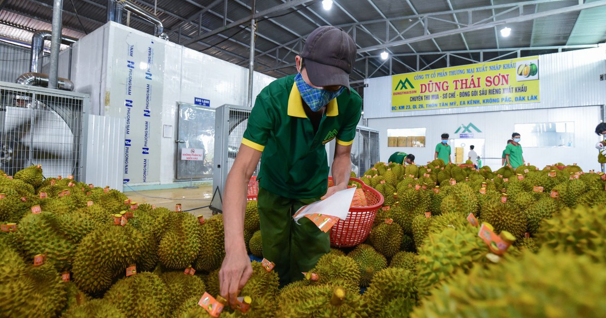 De handel in landbouwproducten tussen Vietnam en China naar een hoger niveau tillen.