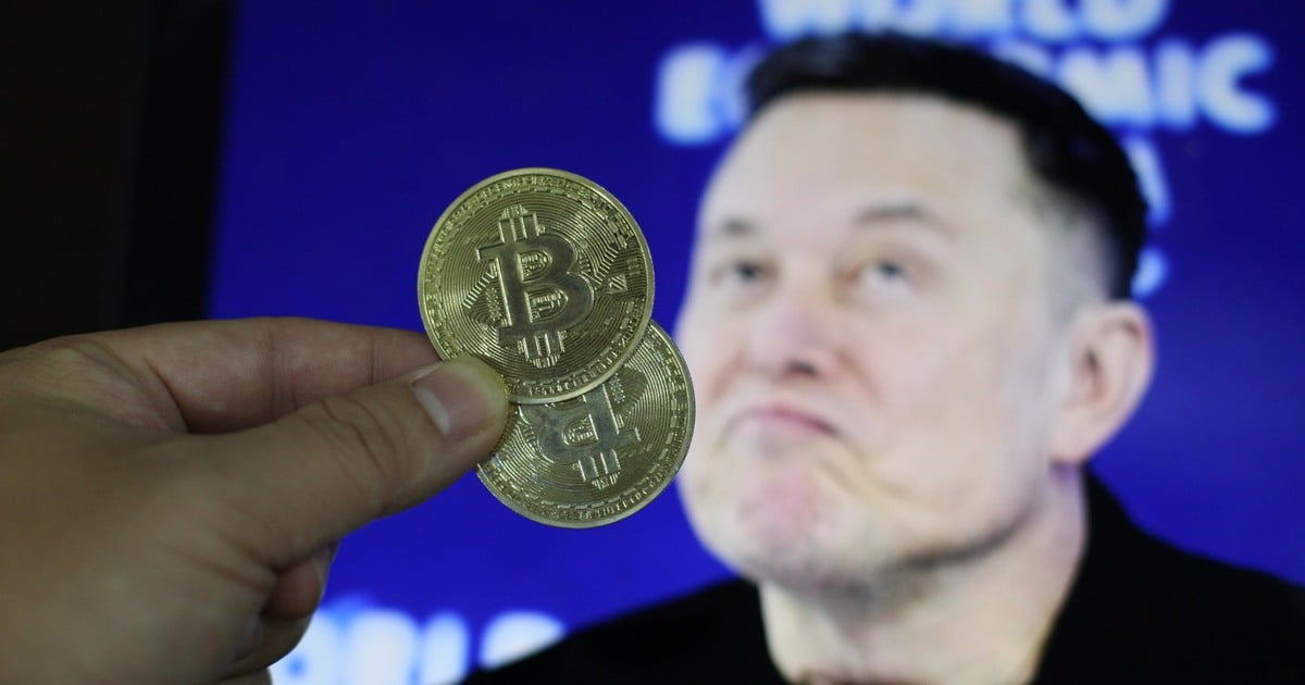 Bitcoin and SpaceX Stock Plunge: Market Volatility and Outlook for June 2026