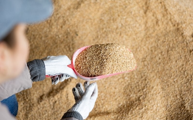 Theo các doanh nghiệp, giá nhiều loại nguyên liệu chủ lực như bột cá, dầu cá, đậu tương, lúa mì và các phụ gia dinh dưỡng liên tục neo ở mức cao. Ảnh: Shutterstock.