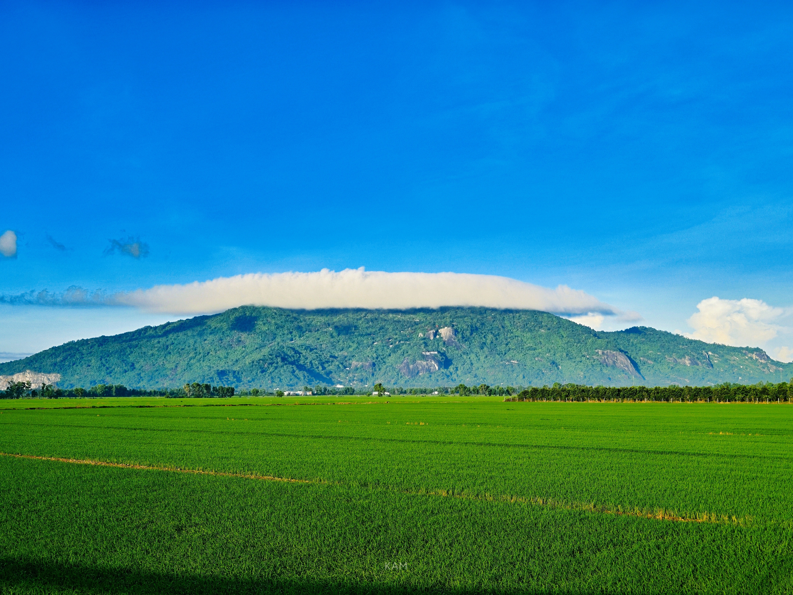 Gallery - White clouds "dress up" Co To mountain, signaling the most beautiful cloud-hunting season in the Bay Nui region. - image 4