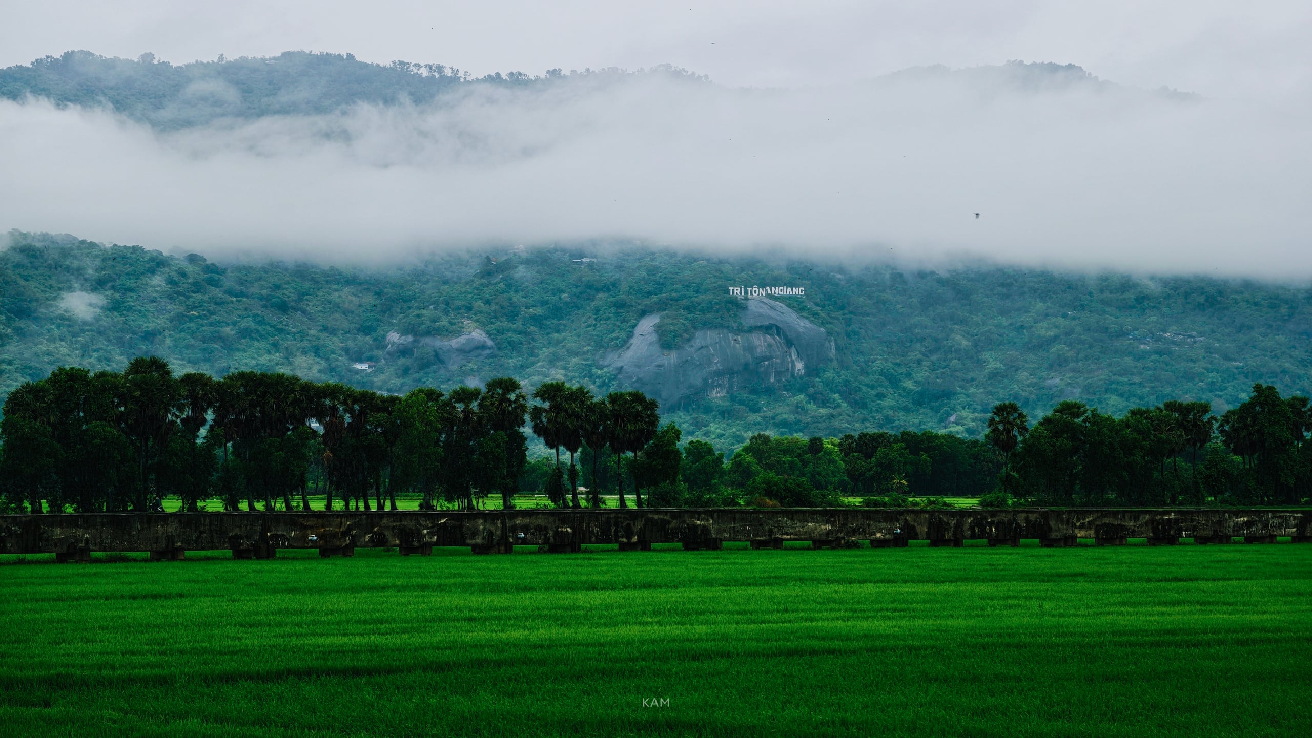 Gallery - White clouds "dress up" Co To mountain, signaling the most beautiful cloud-hunting season in the Bay Nui region. - image 8