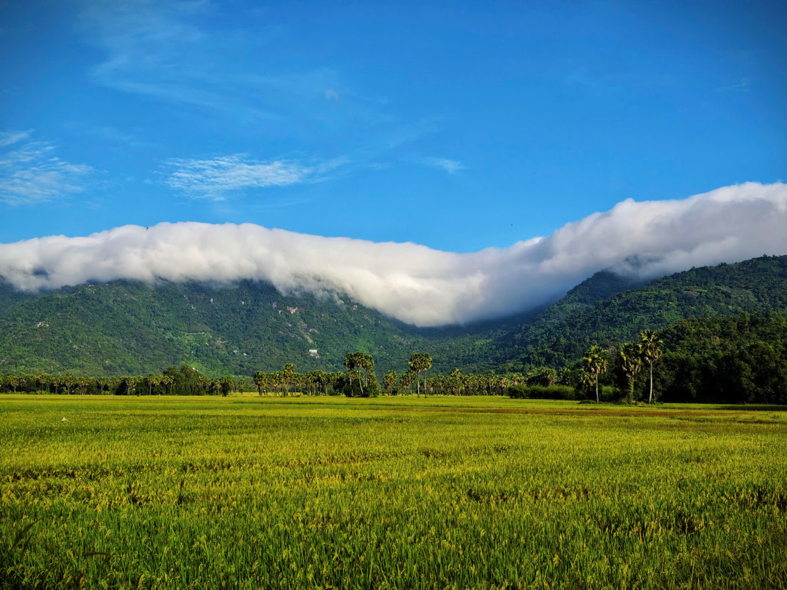 Gallery - White clouds "dress up" Co To mountain, signaling the most beautiful cloud-hunting season in the Bay Nui region. - image 12