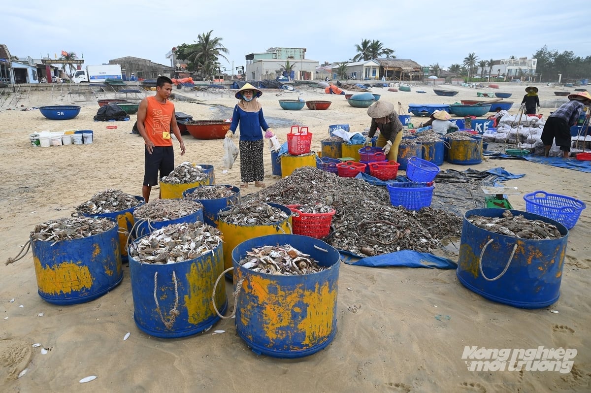 Rôn đang đảm nhiệm vai trò Tổ phó Tổ tuần tra, bảo vệ rạn Bà Đậu. Ảnh: Tùng Đinh.