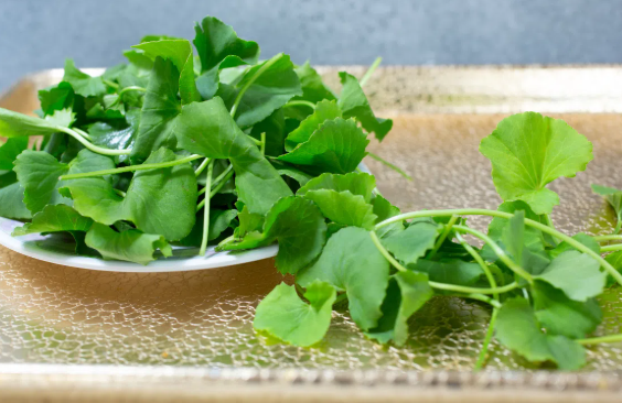 Cum să-ți înfrumusețezi fața cu centella asiatica (Gotu Kola) - Fotografia 2.