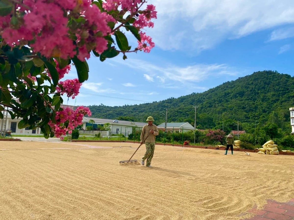 Một miền quê Bắc Bộ thu nhỏ trên đảo Cô Tô. Ảnh: Thu Báu. 