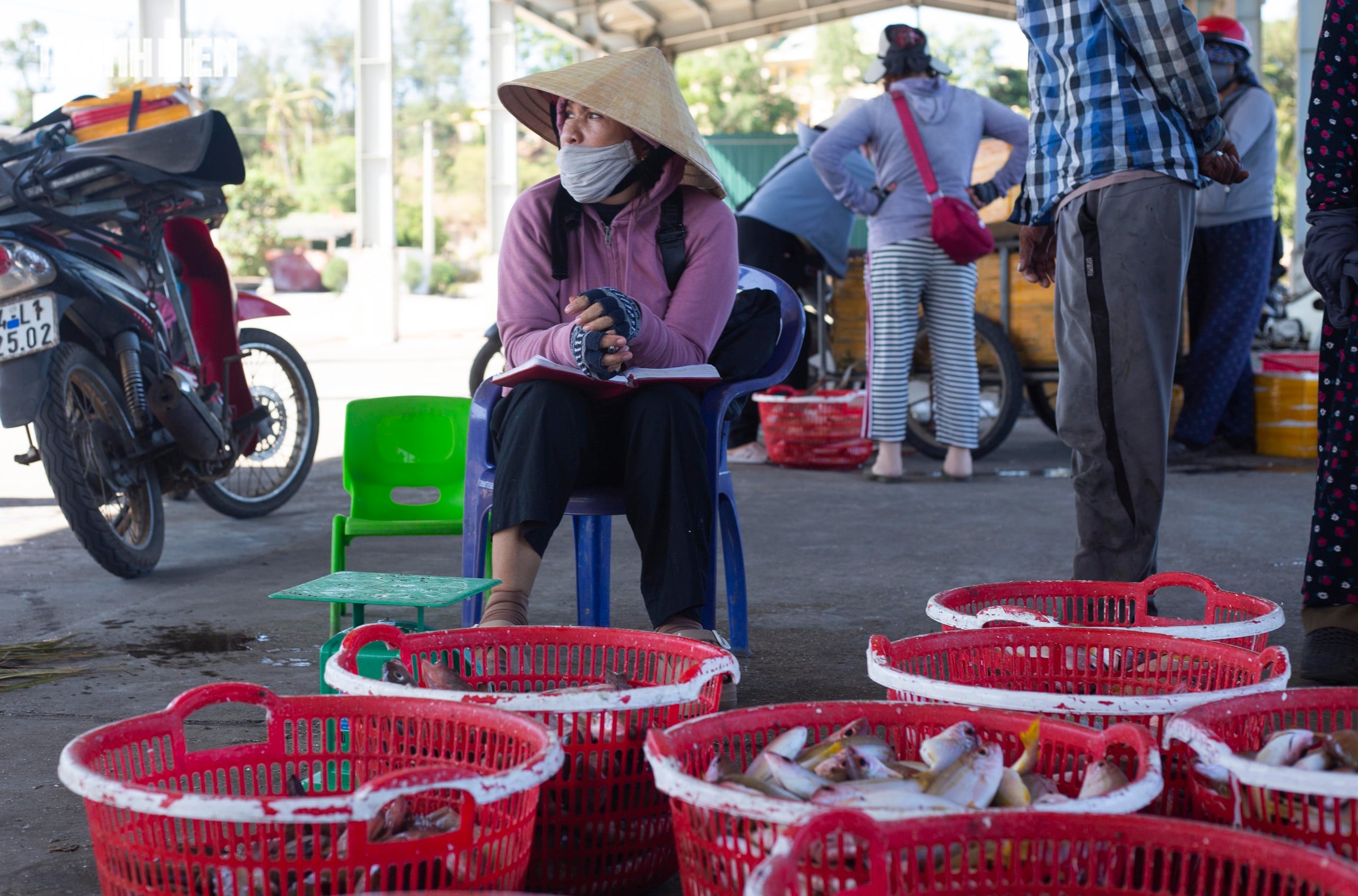 Gallery - Cua Tung fish market is bustling with tourists 'waiting' to buy fresh seafood. - image 2