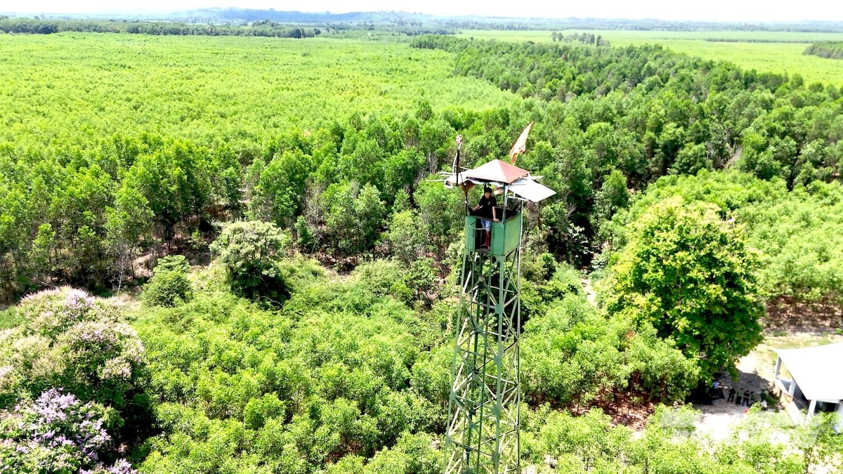 BQL Rừng phòng hộ Xuân Lộc được giao quản lý diện tích 10.372 ha. Ảnh: Minh Sáng.