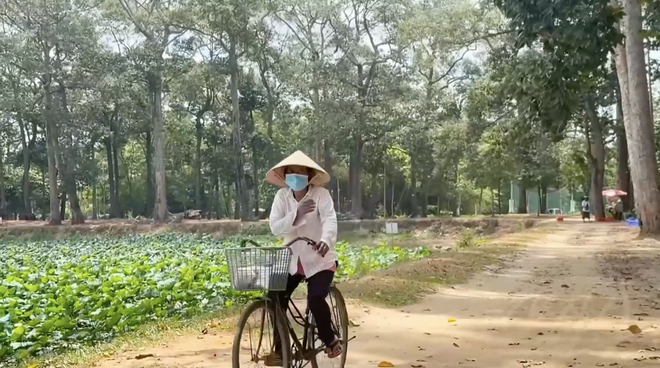 Vườn sao mai: Khám phá hương sắc ngày hè - Ảnh 3.