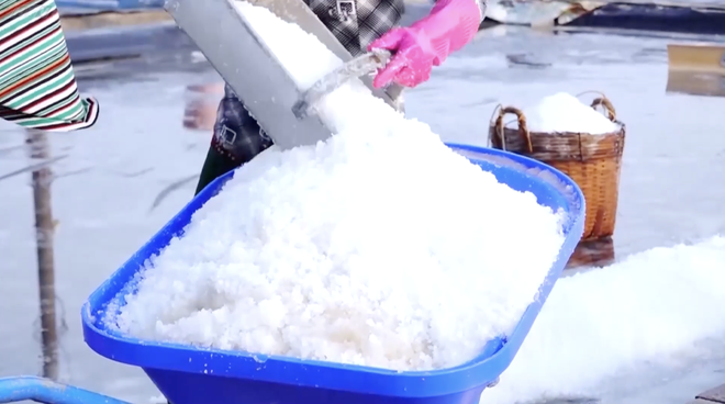 Vườn sao mai: Khám phá hương sắc ngày hè - Ảnh 16.
