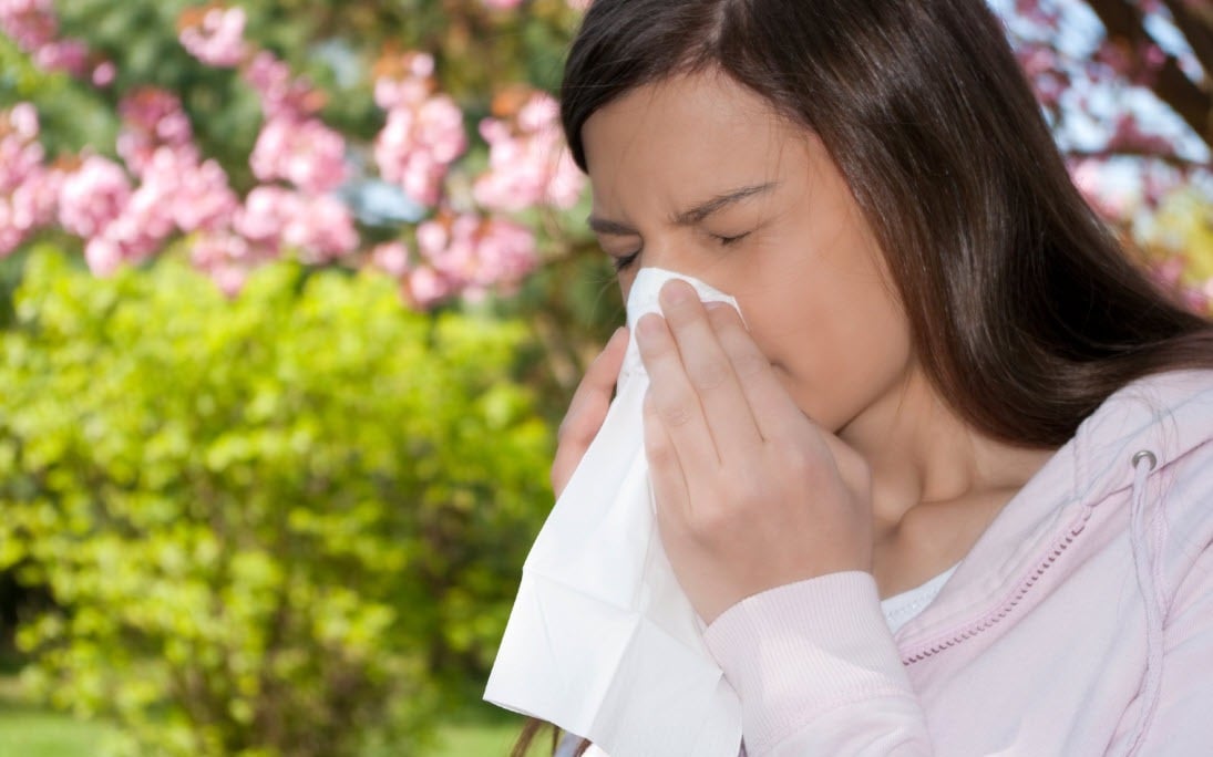 Les bienfaits exceptionnels du pollen - Photo 2.