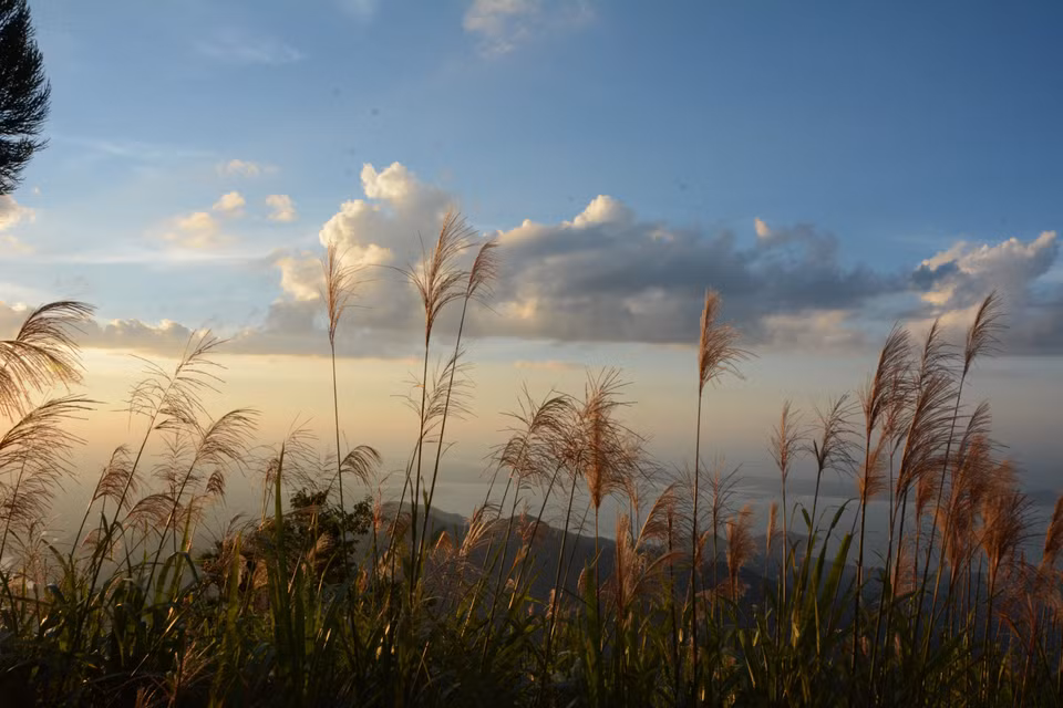 Gallery - Vong Hai Dai - a place to admire the panoramic beauty of the mountains, forests, and seascape of Hue. - image 18