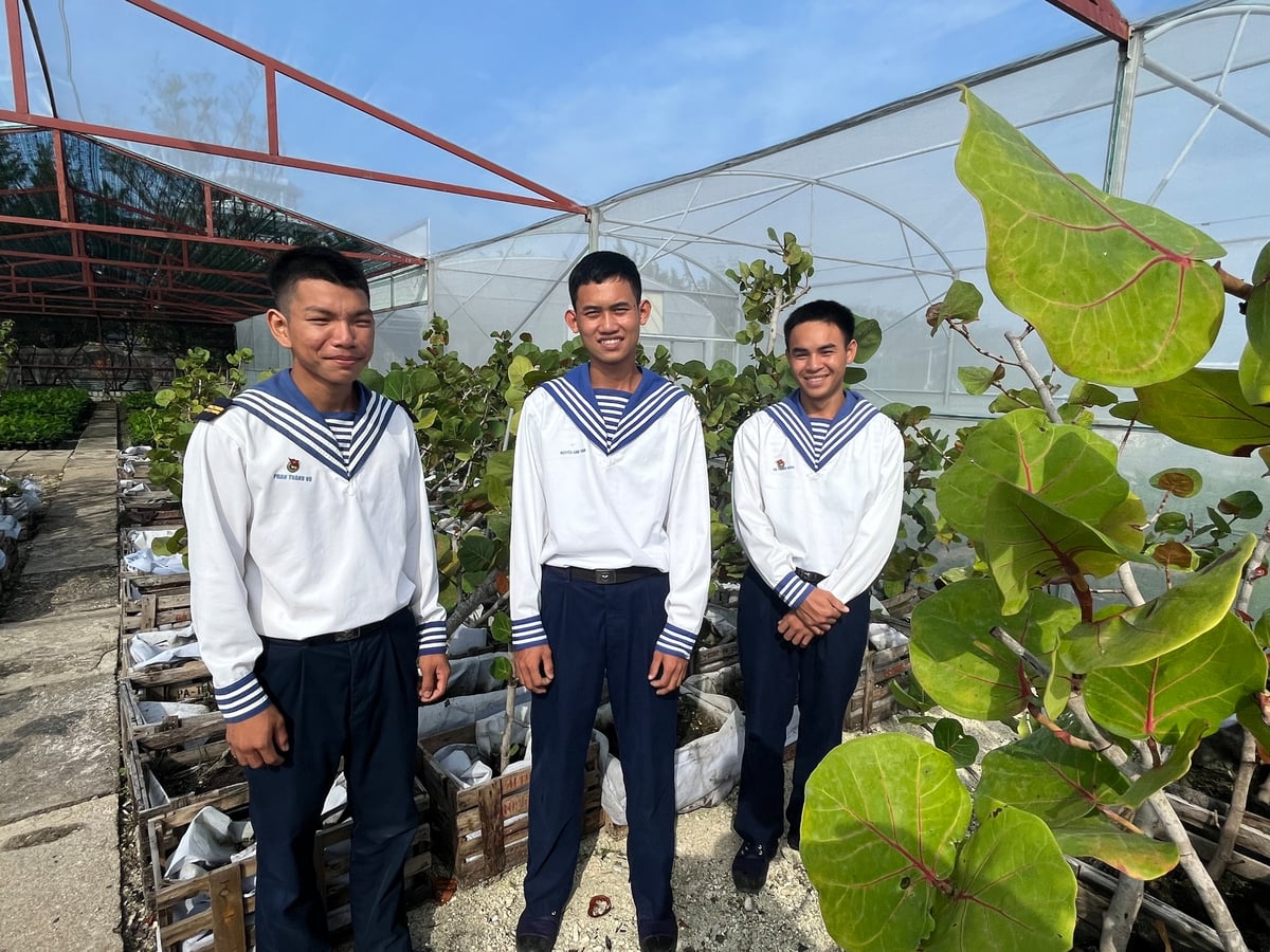 Vườn ươm cây giống ở Trường Sa. Ảnh: Xuân Thủy.