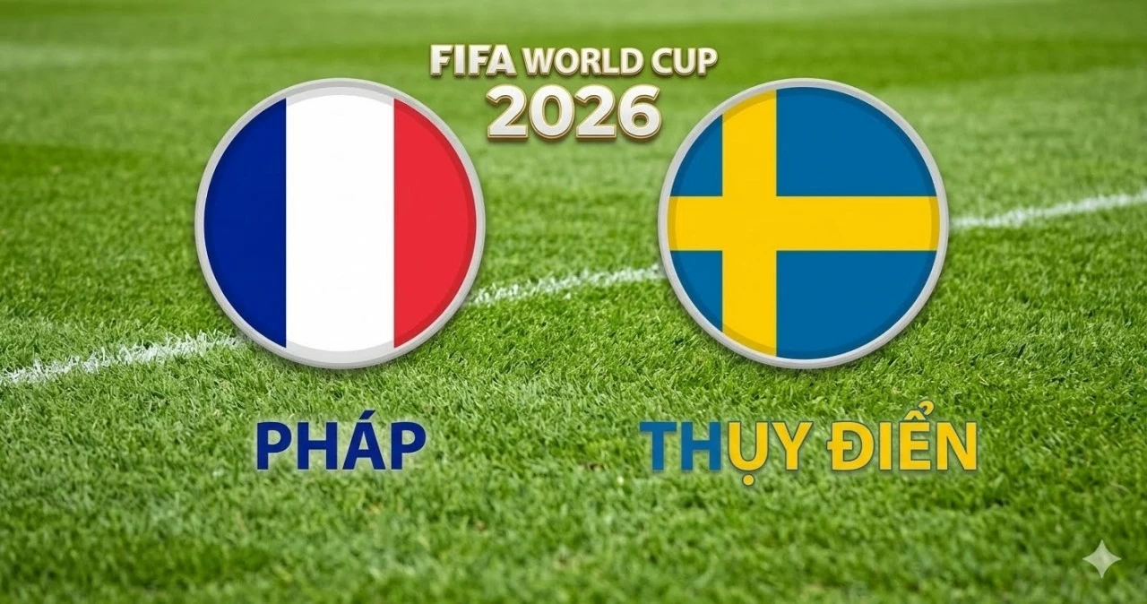 フランス 対 スウェーデン