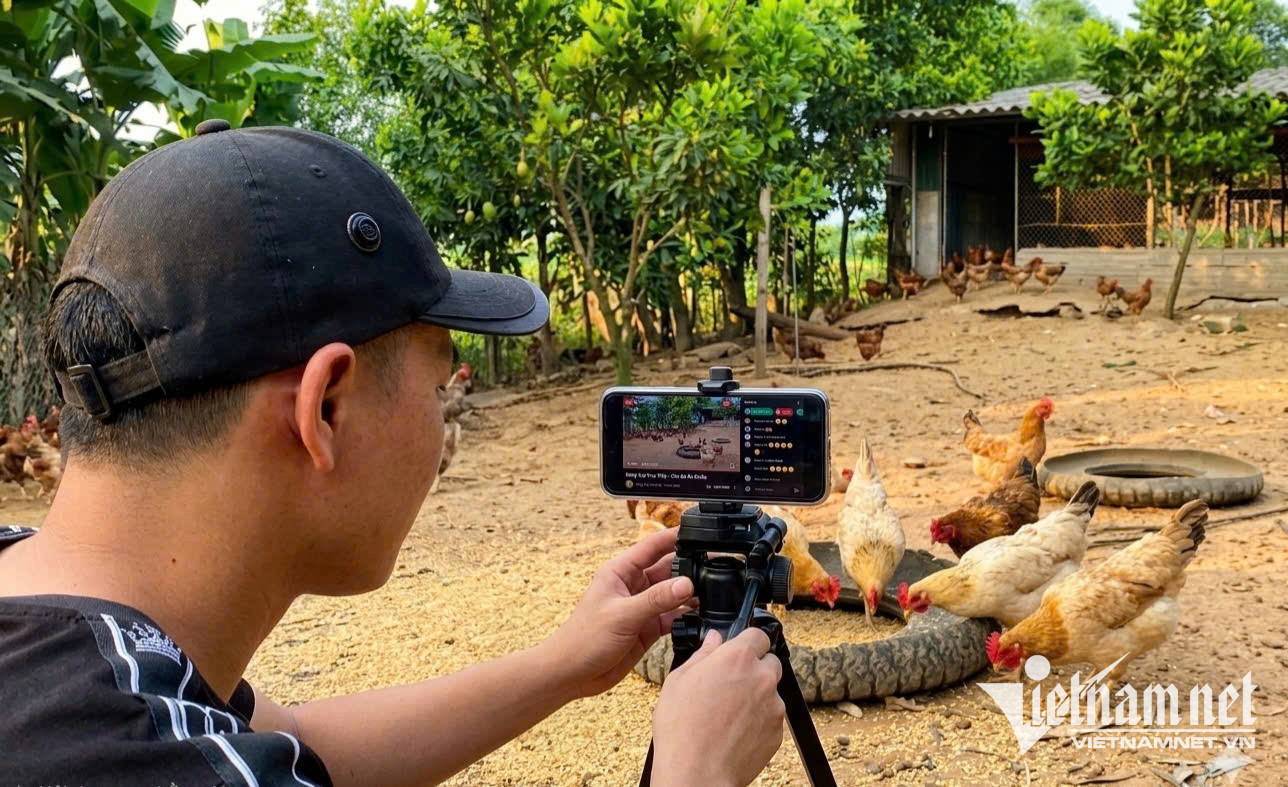 W-Anh Tiếp sedang merakam dan mempromosikan produk ayam keluarganya, mencari pelanggan dalam talian.jpg