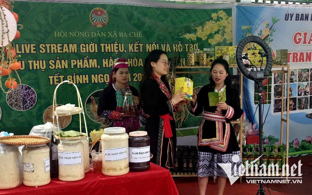 Ramai petani tanah tinggi kini sudah biasa dengan penstriman langsung untuk memperkenalkan produk mereka dan menerima pesanan dalam talian.jpg