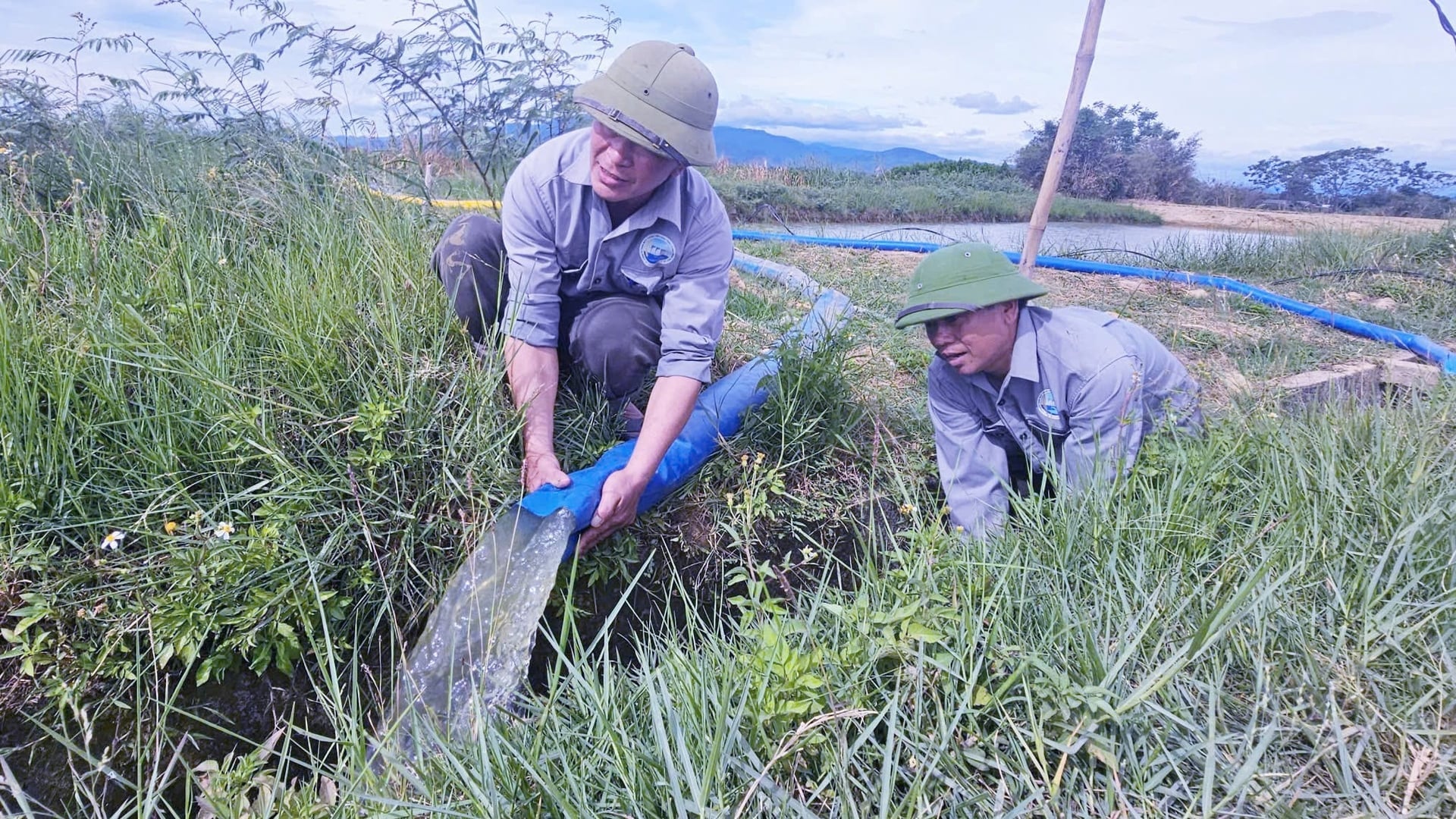 Para petugas dari Cabang Irigasi Bo Trach memompa air balik dari kolam dan danau alami untuk menambah pasokan air ke saluran irigasi yang menuju ke ladang. Foto: T. P. Cán bộ Chi nhánh Thủy nông Bố Trạch bơm nước hồi quy từ ao hồ tự nhiên bổ sung vào tuyến mương đưa về ruộng. Ảnh: T. P.