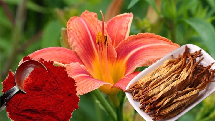 Os efeitos embelezadores da pele das flores de lírio-de-um-dia: uma perspectiva nutricional e científica - Imagem 1.