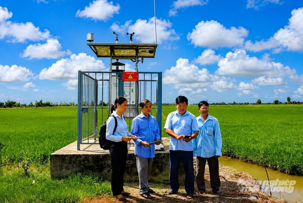 Trạm giám sát côn trùng thông minh được Trung tâm Khuyến nông An Giang đầu tư cho HTX Dịch vụ nông nghiệp Thanh niên Phú Hòa. Ảnh: Trung Chánh.