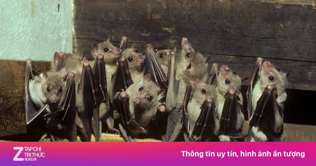 Photo: Vietnam.vn Réactions et mesures prises par les autorités