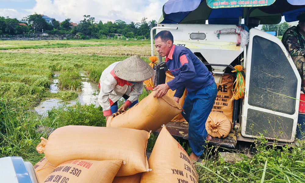 Bac Ninh: De gemeente Son Dong in het hoogland reageert met spoed op tyfoon nummer 1.