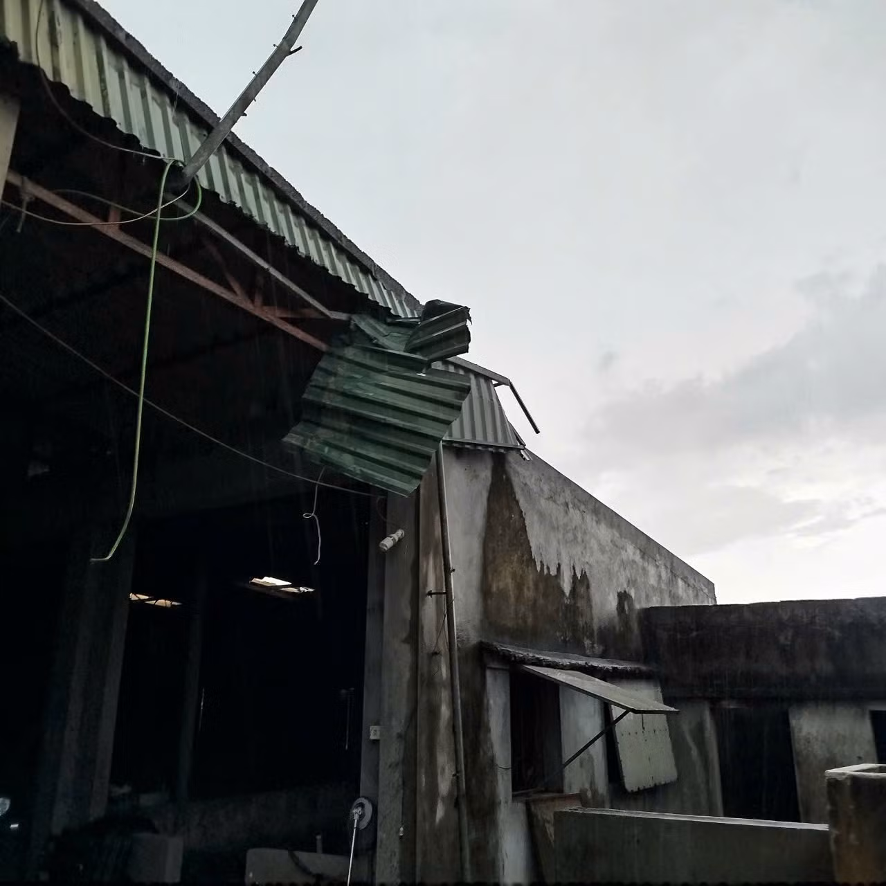 z8021324122498-f6e8995a7c81811f5c4bcc75f15c401e.jpg