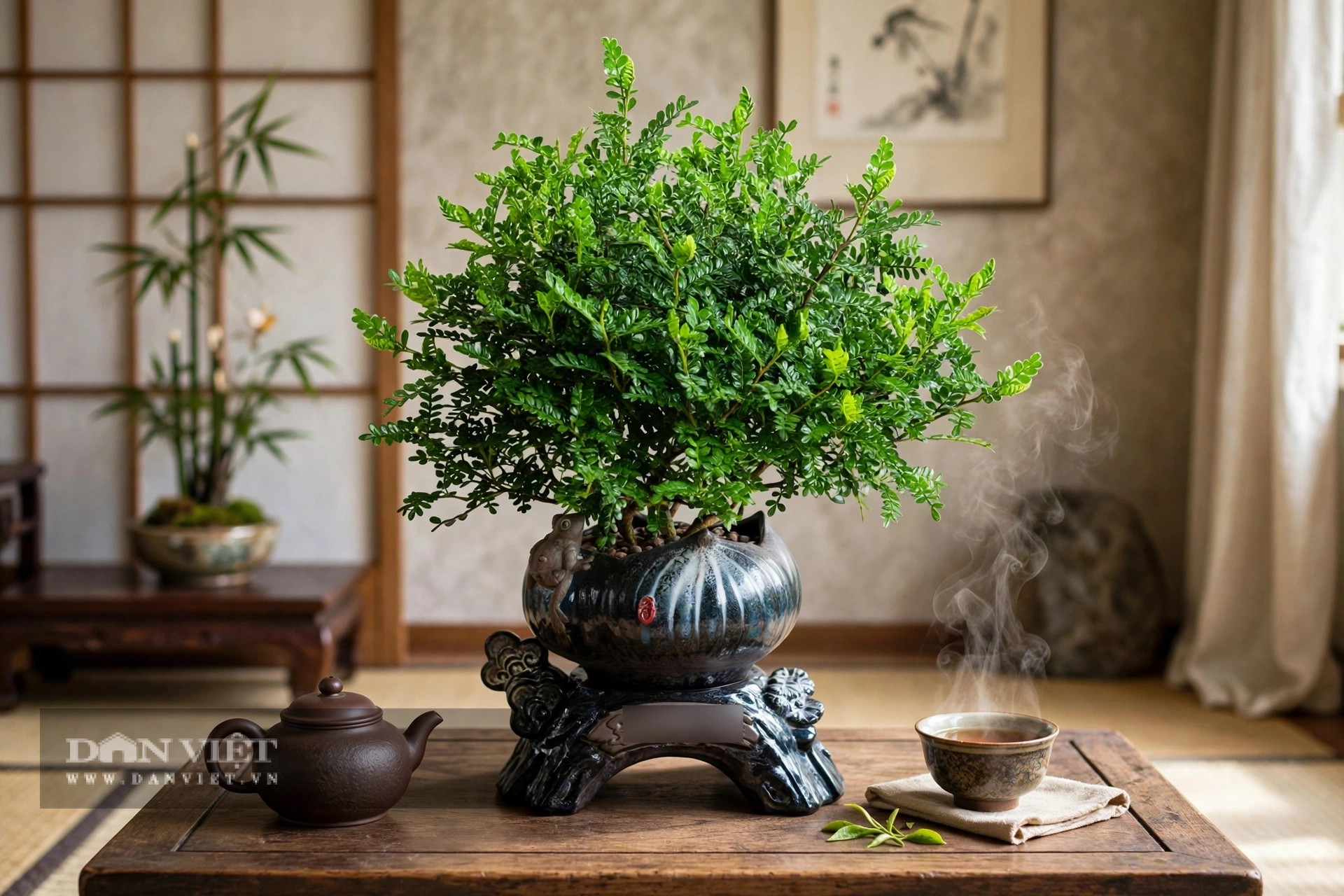 古くから親しまれている盆栽3種。育てれば育てるほど価値が上がり