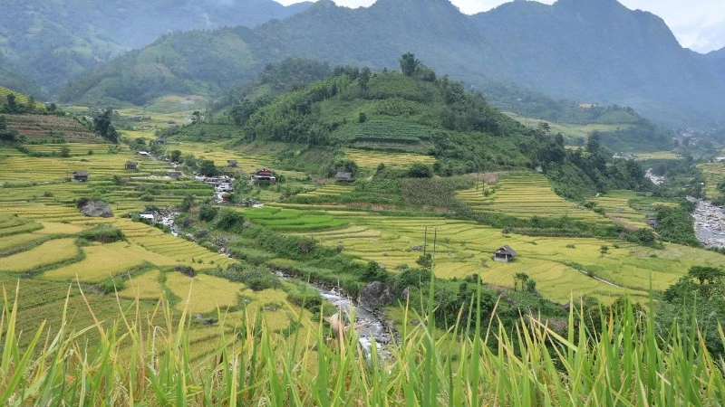 Lao Cai Organiserer Terrengsykkelrittet Muong Bo X Rice Soaring Over lao-cai-organiserer-terrengsykkelrittet-muong-bo-x-rice-soaring-over
