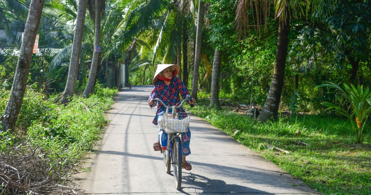 Hanoi Leads Vietnam With 100% Health Insurance Support - News Directory 3