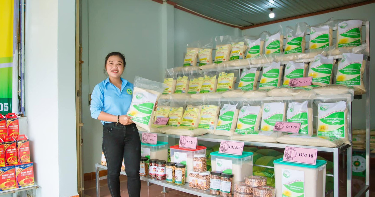 Liên kết sản xuất - động lực nâng chất lượng hạt gạo Tánh Linh