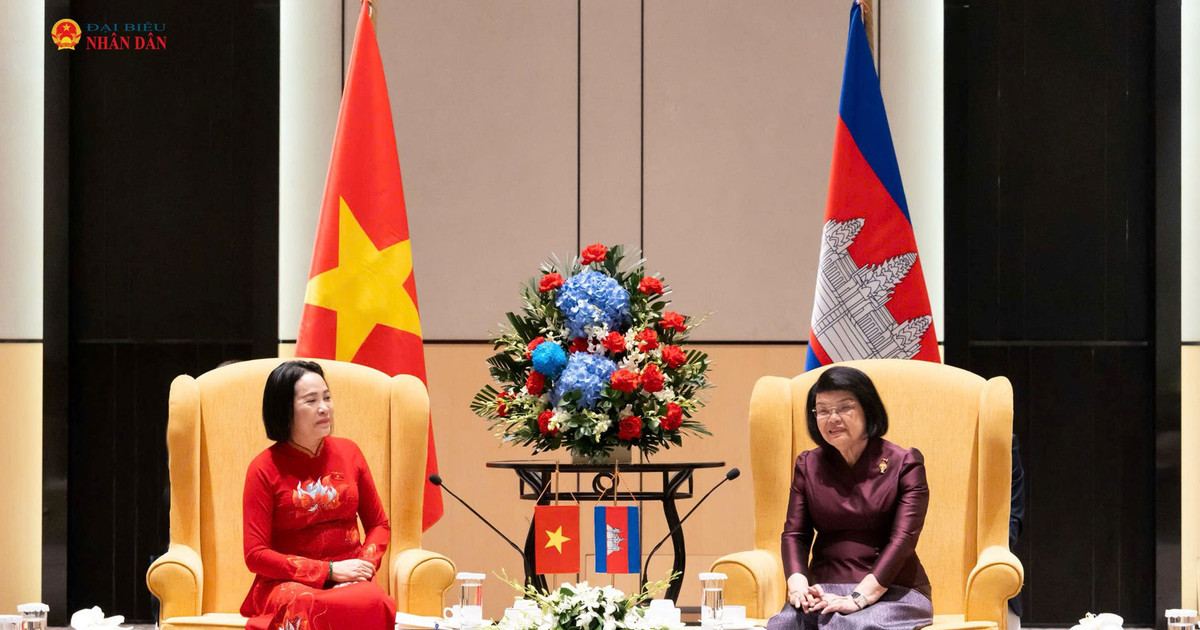 ベトナムとカンボジア間の、より革新的で、より深く、より効果的な議会