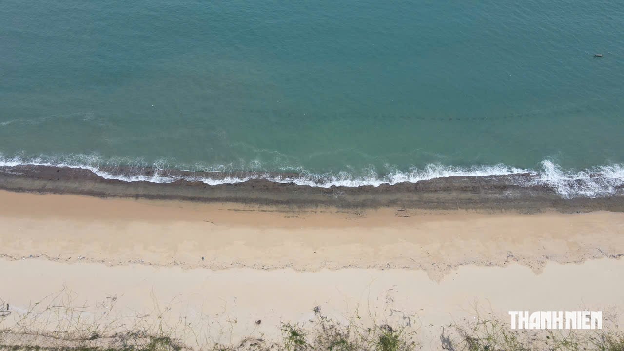 The mystery of the 'wall' under the sea in Quy Nhon: Ancient relic or a masterpiece of nature? - Photo 3.
