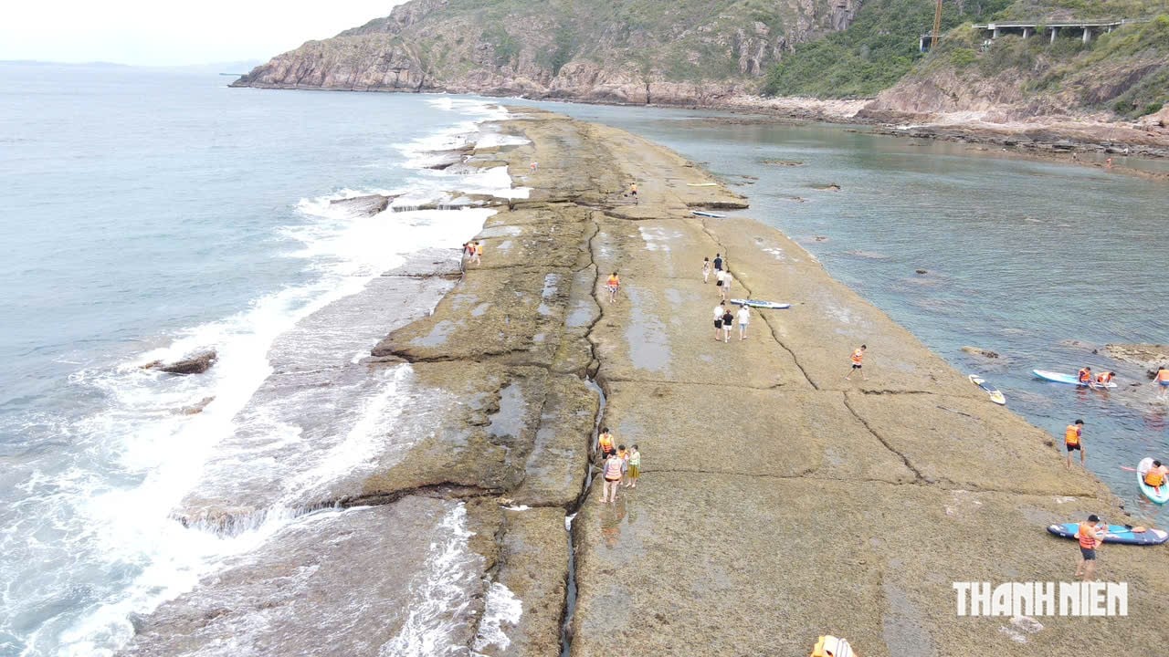 The mystery of the 'wall' under the sea in Quy Nhon: Ancient relic or a masterpiece of nature? - Photo 6.