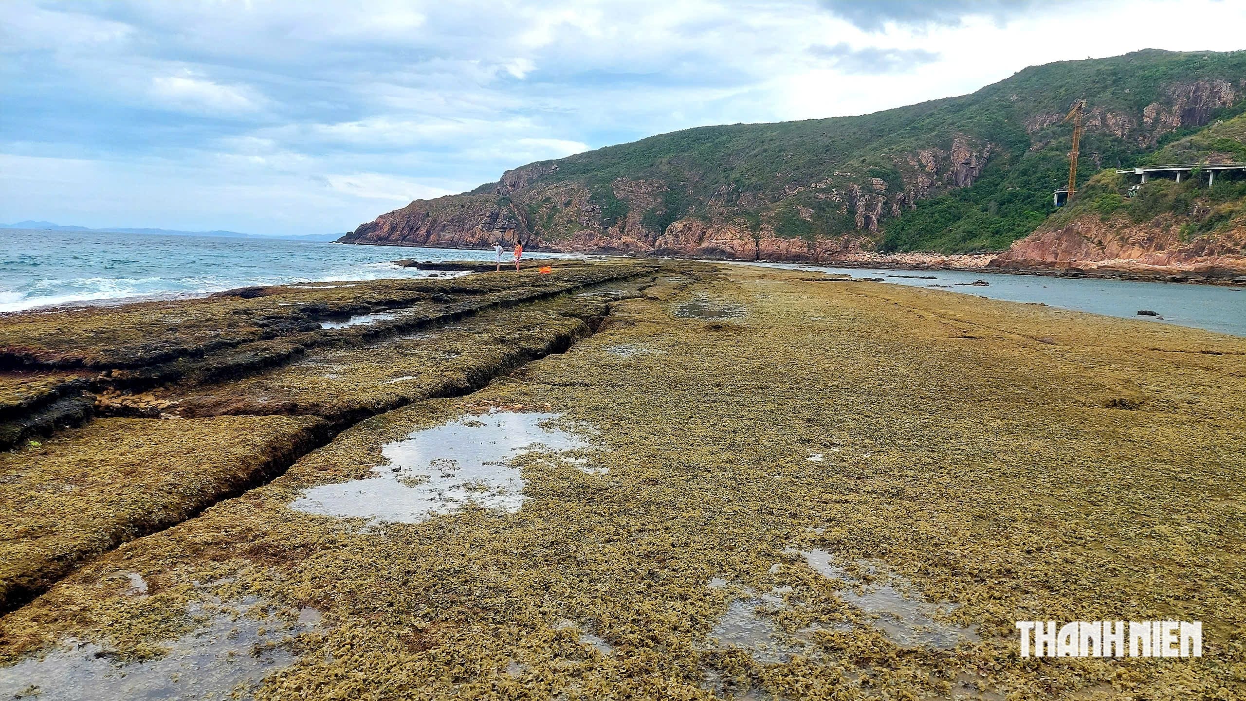 The mystery of the 'wall' under the sea in Quy Nhon: Ancient relic or a masterpiece of nature? - Photo 7.