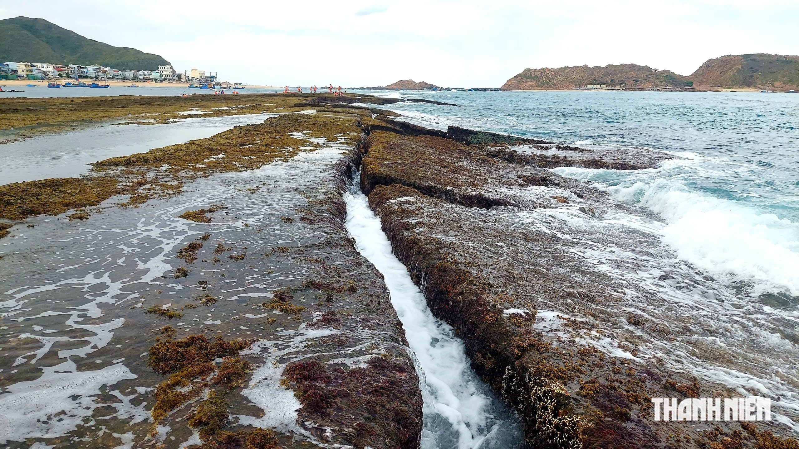 The mystery of the 'wall' under the sea in Quy Nhon: Ancient relic or a masterpiece of nature? - Photo 8.