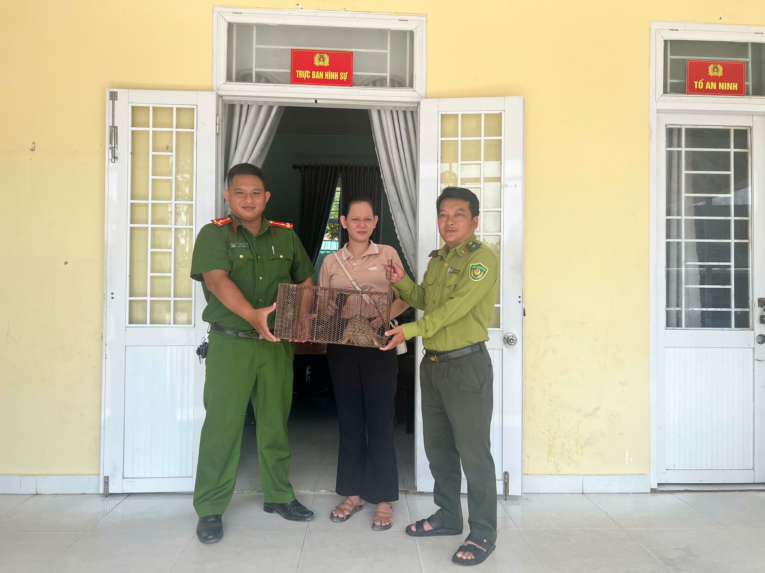 Tấm gương sáng bảo vệ rừng xanh tại Đông Trà Bồng