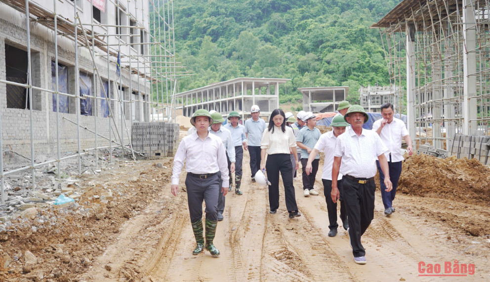 Chairman of the Provincial People's Committee Le Hai Hoa inspects the ...