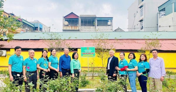 Ngoc Hoi Advocates for a Sustainable Lifestyle with Community-Focused Initiatives. Ngoc Hoi Advocates for a Sustainable Lifestyle with Community-Focused Initiatives.