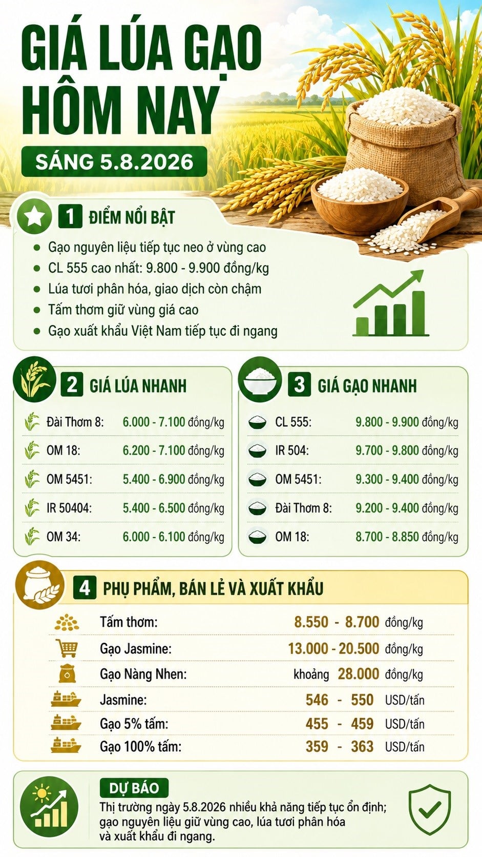 Rice prices today, August 5, 2026: Raw rice prices remain high - image 3