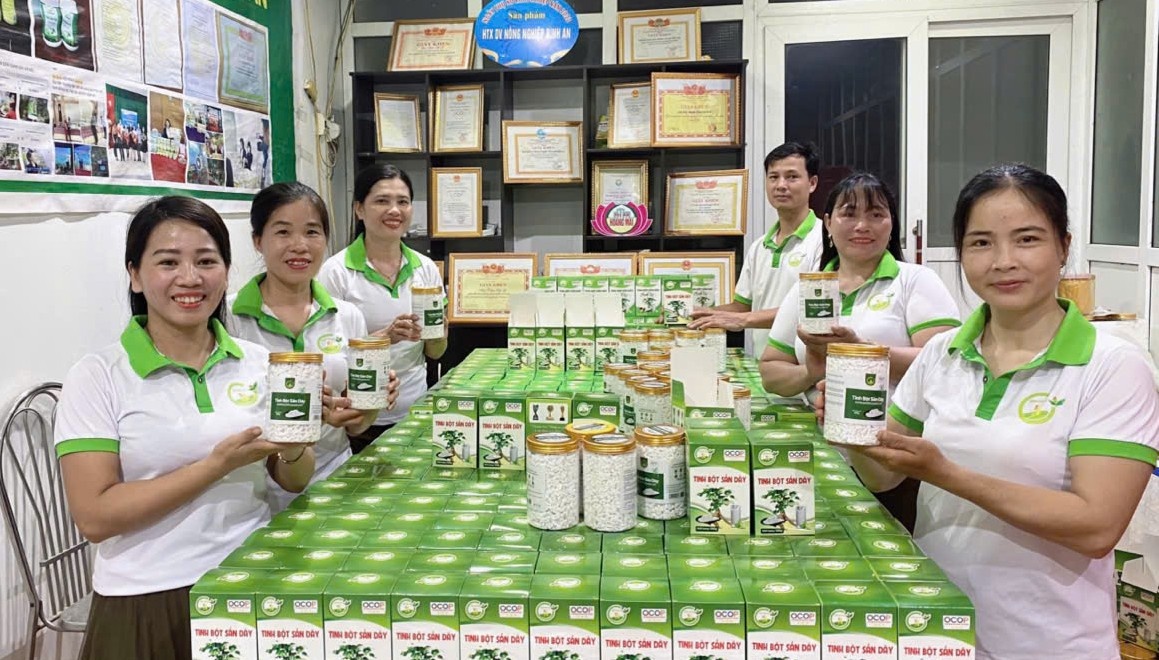 Binh An General Agricultural Service Cooperative is gradually establishing its brand thanks to the support of policy-based credit funds.