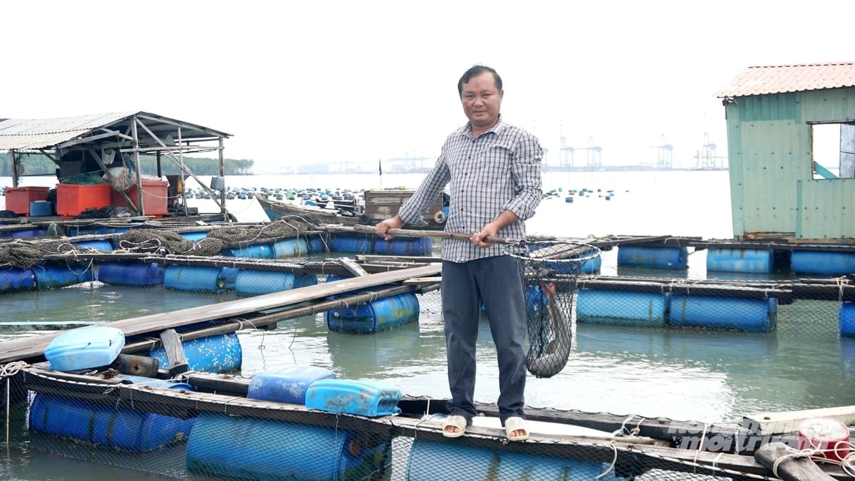 Theo quy định, các cơ sở nuôi lồng bè phải thực hiện đăng ký, ghi chép thông tin trong quá trình nuôi, tạo cơ sở phục vụ quản lý và truy xuất nguồn gốc sản phẩm. Ảnh: Lê Bình. Theo quy định, các cơ sở nuôi lồng bè phải thực hiện đăng ký, ghi chép thông tin trong quá trình nuôi, tạo cơ sở phục vụ quản lý và truy xuất nguồn gốc sản phẩm. Ảnh: Lê Bình.