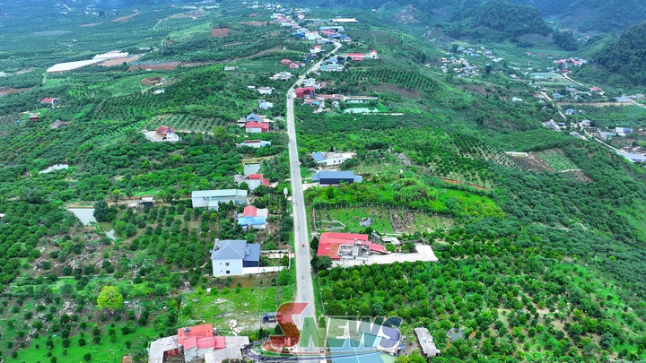 Wertsteigerung landwirtschaftlicher Produkte in Son La. - Vietnam.vn