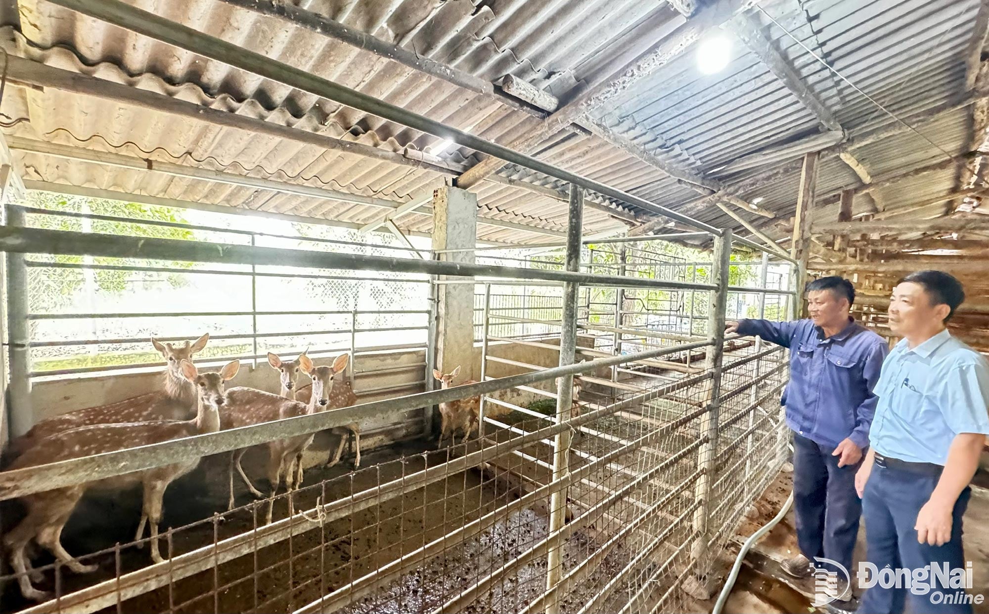 Het behoud van het traditionele ambacht van het fokken van herten en elanden.
