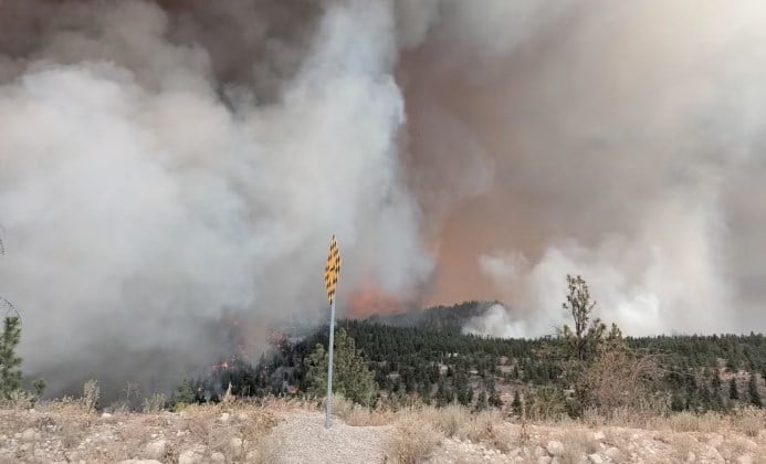 Canada Declares State of Emergency Amid Rapidly Spreading Wildfires in British Columbia