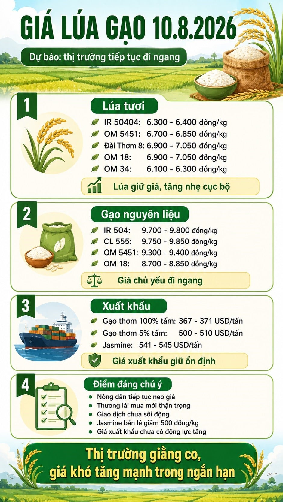 Rice prices today, August 10, 2026: Jasmine rice prices fall, paddy rice prices remain high - image 3