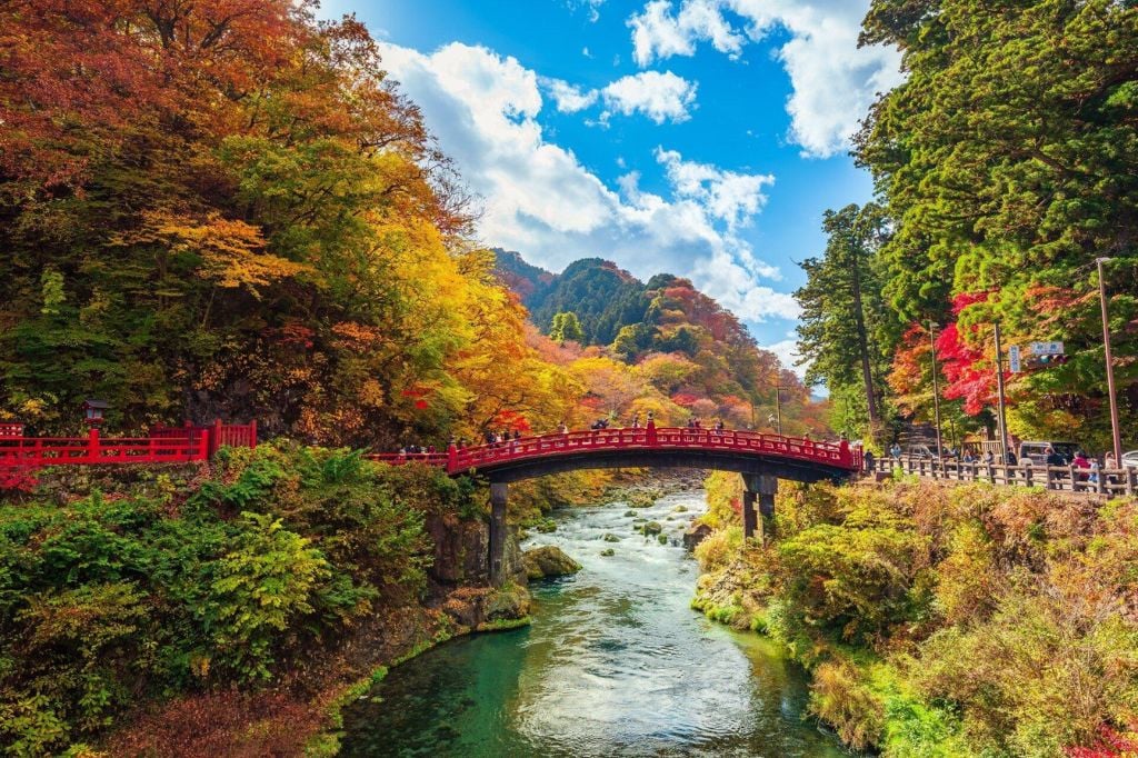 Travel to Nikko during the autumn foliage season - Immerse yourself in the  vibrant autumn scenery of Japan.